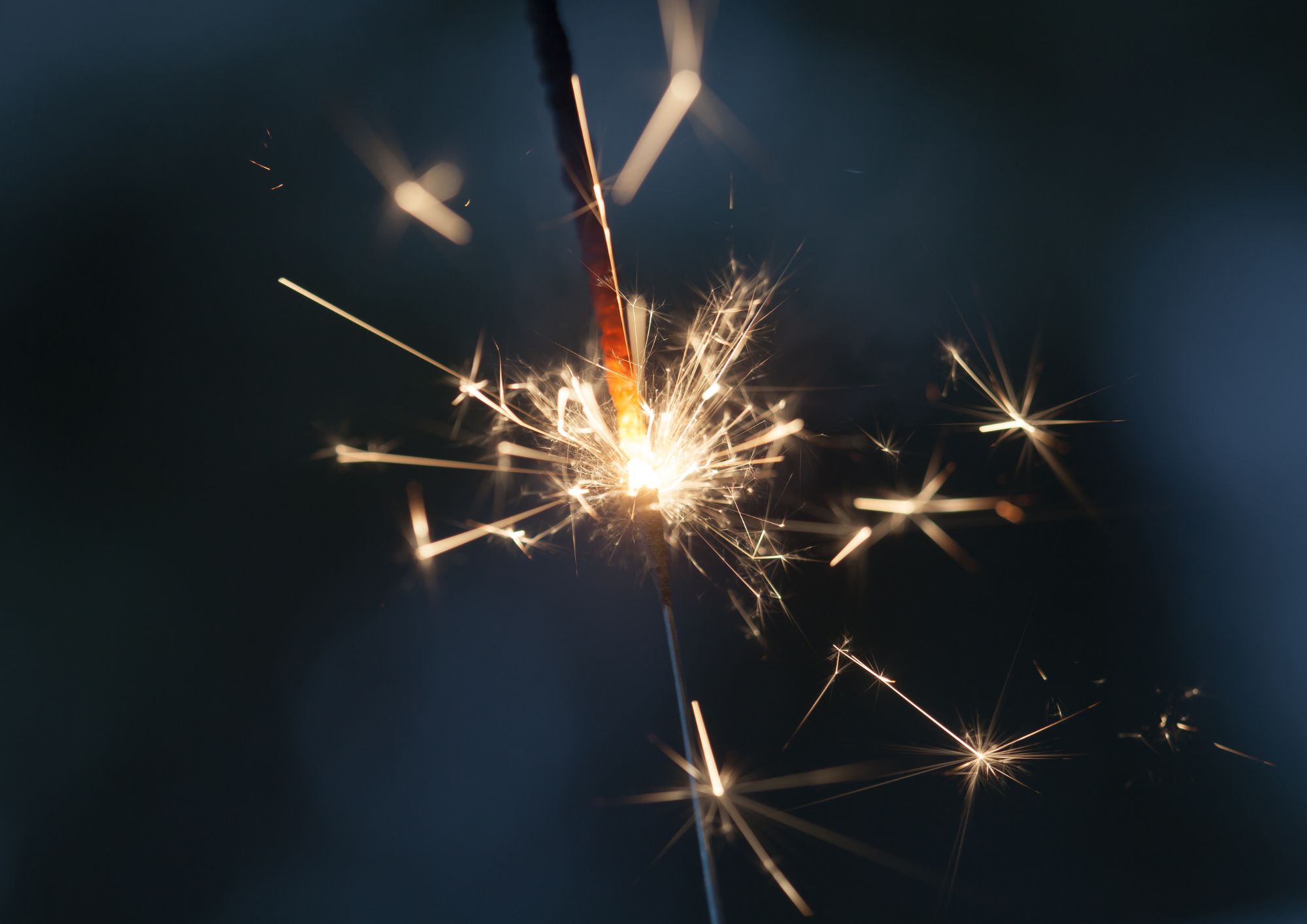 昼も夜も続く！一日まるごと夏プログラム