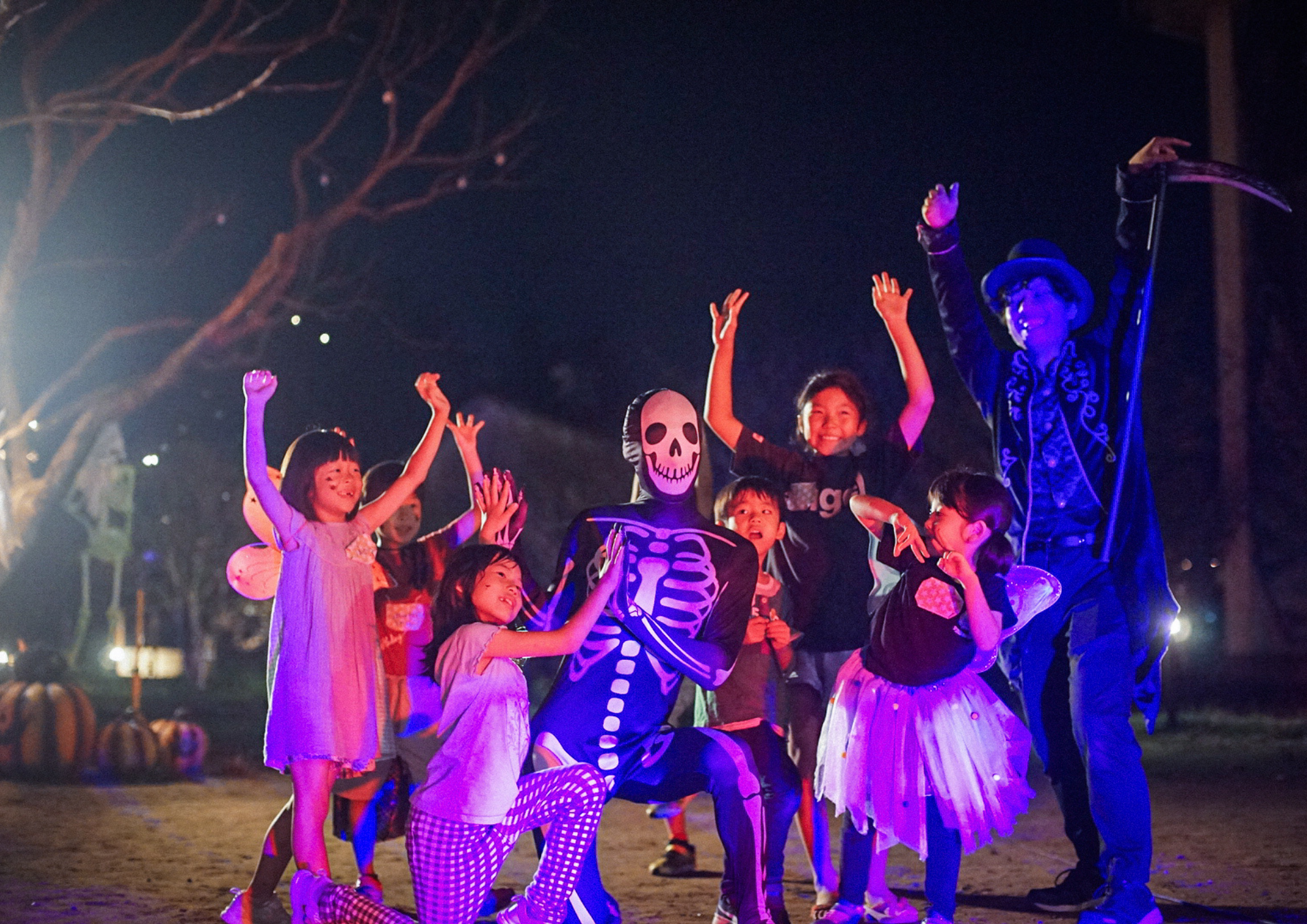 夜はドキドキのハロウィンナイト！